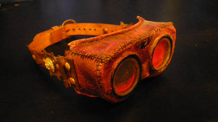 Explorers goggles