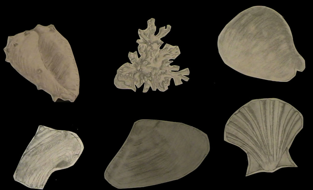 She Sells Sea Shells... by xBloodxCherriex on DeviantArt