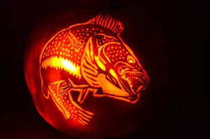 Walleye Pumpkin