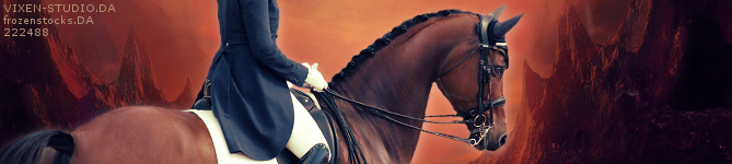 Red Dressage Banner