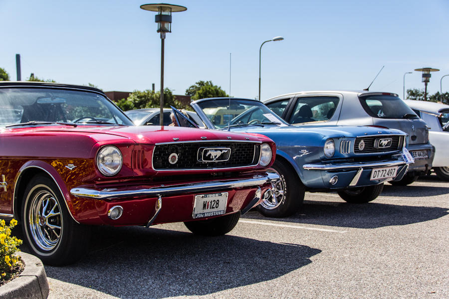 1966 Mustangs