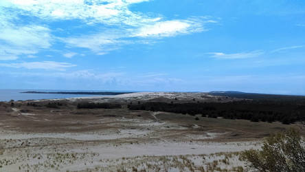 Dead dunes in Nida-2