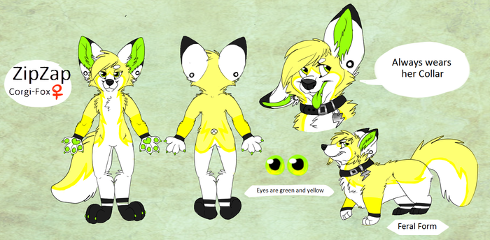 New ZipZap Ref