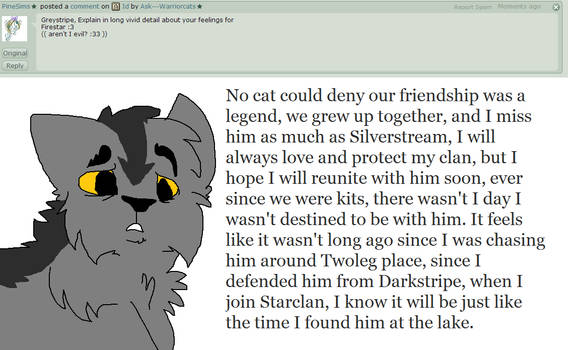 Q1 Graystripe