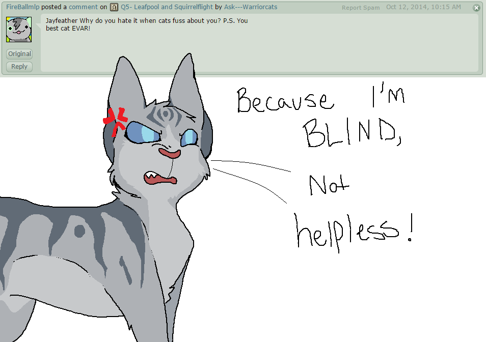 Jayfeather by meow286.deviantart.com on @DeviantArt