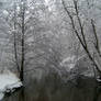 Snow : 04