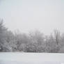 Snow : 05