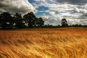 English Countryside by runwhat