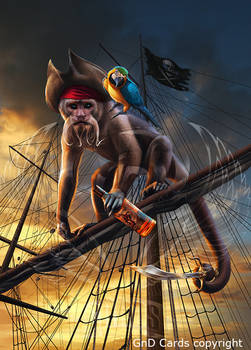 Monkey-pirate