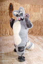 Out pops a wild Raccoon Dog! Aka a Tanuki!