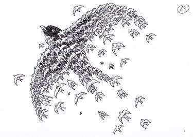 12 - Flock of swifts
