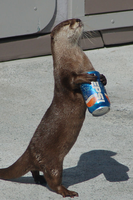 the art of product placement by SheddDolphin on DeviantArt
