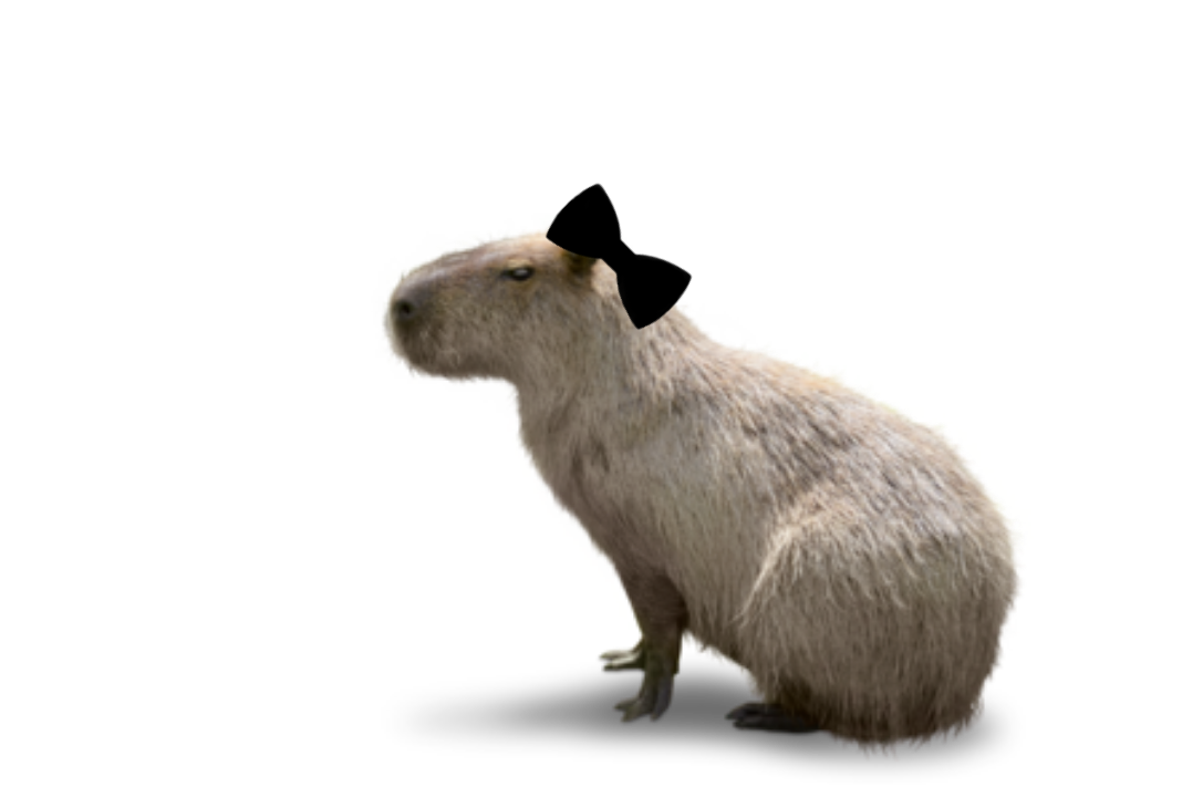 Female capybara by pbs9944loud on DeviantArt