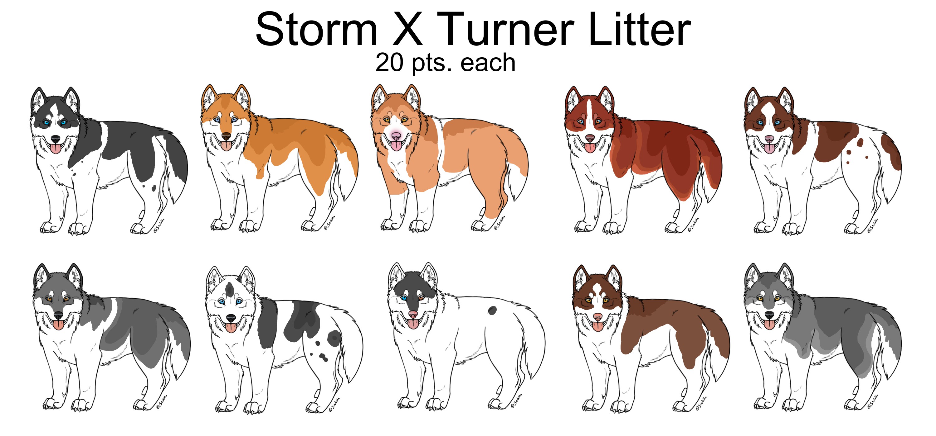 CLOSED Storm X Turner Litter