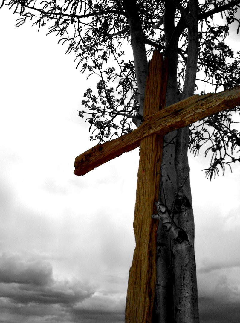 Cross and tree- second version