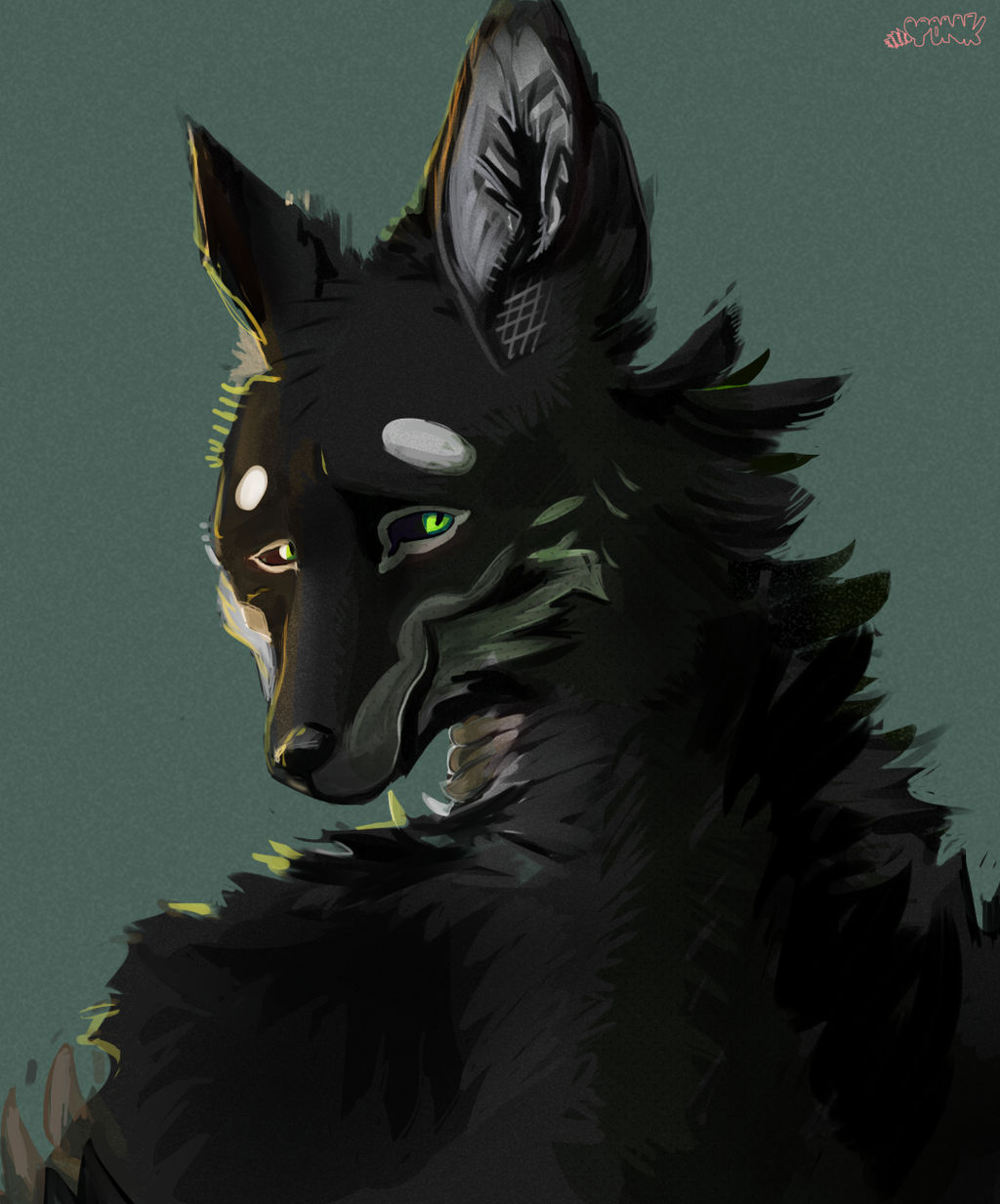 Shiko Portrait (unedited) (commission)