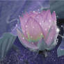 magical lotus flower