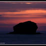 Gull Rock - Cornwall