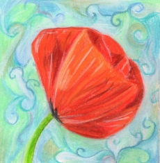 Poppy