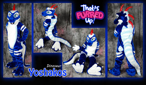 Yoshakos Fullsuit Commission