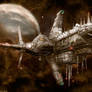 D.S.E. Project Headhunter