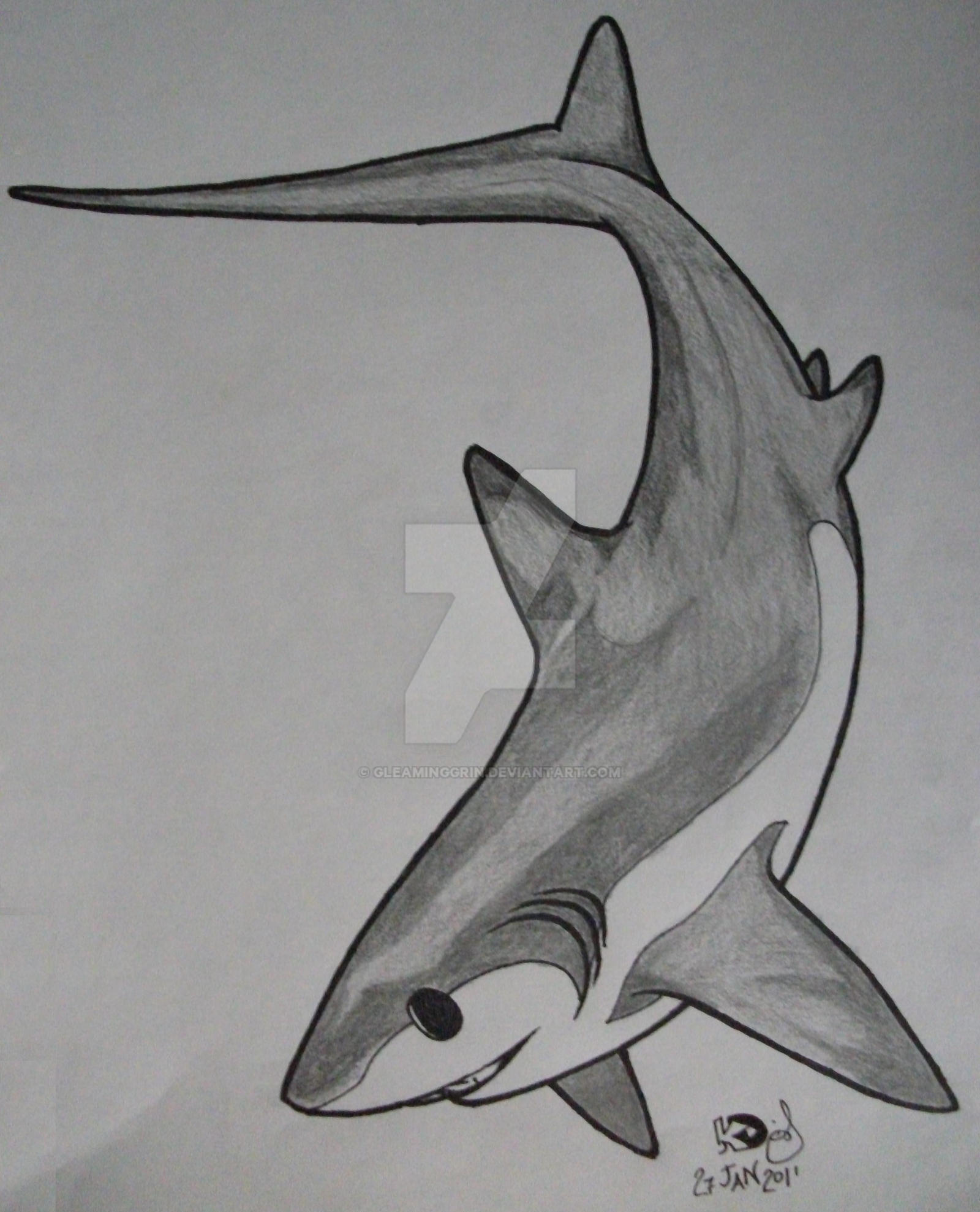 Thresher shark tattoo 1 by GleamingGrin on DeviantArt