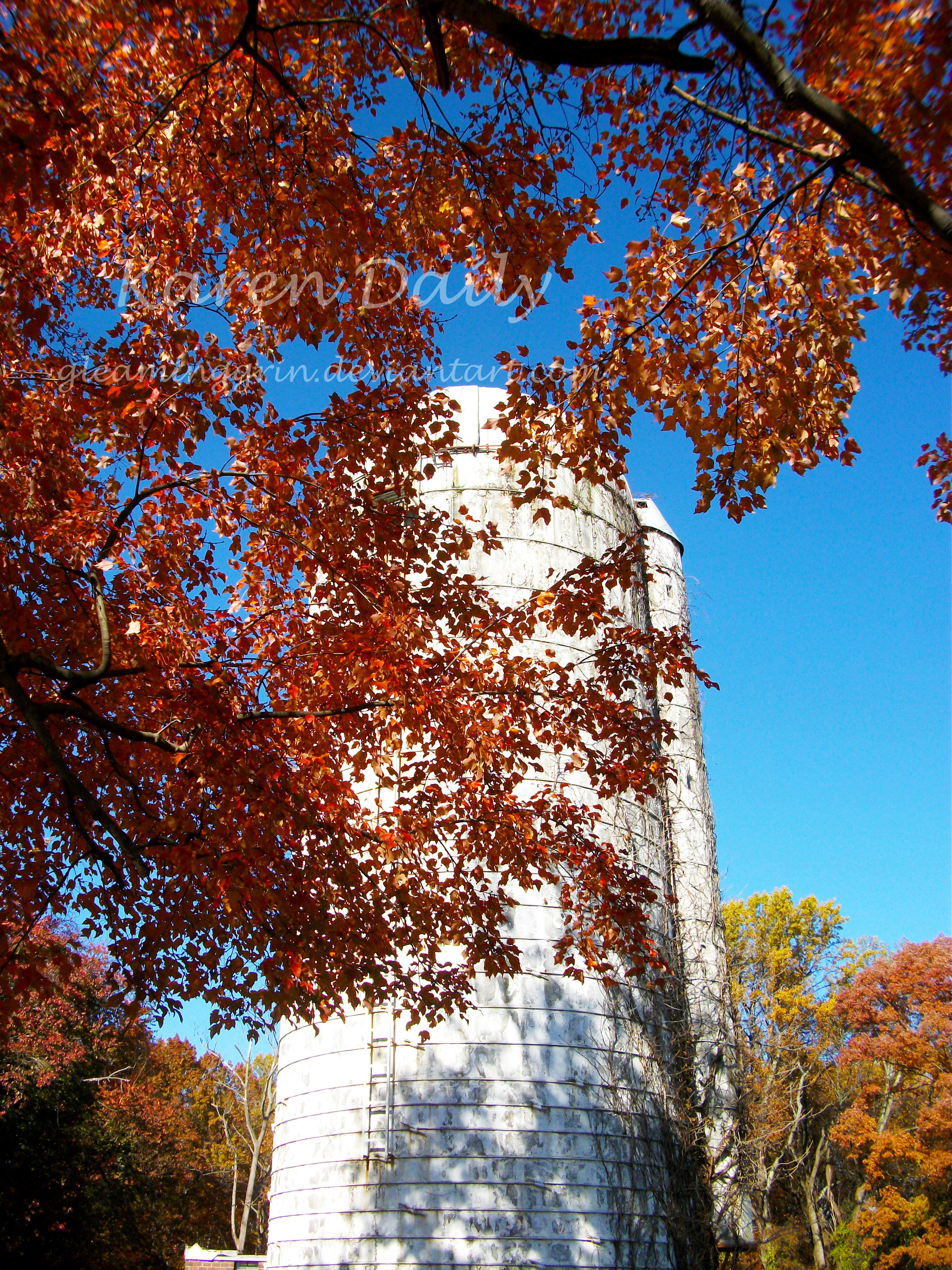 Sunshine, Silos and Shadows