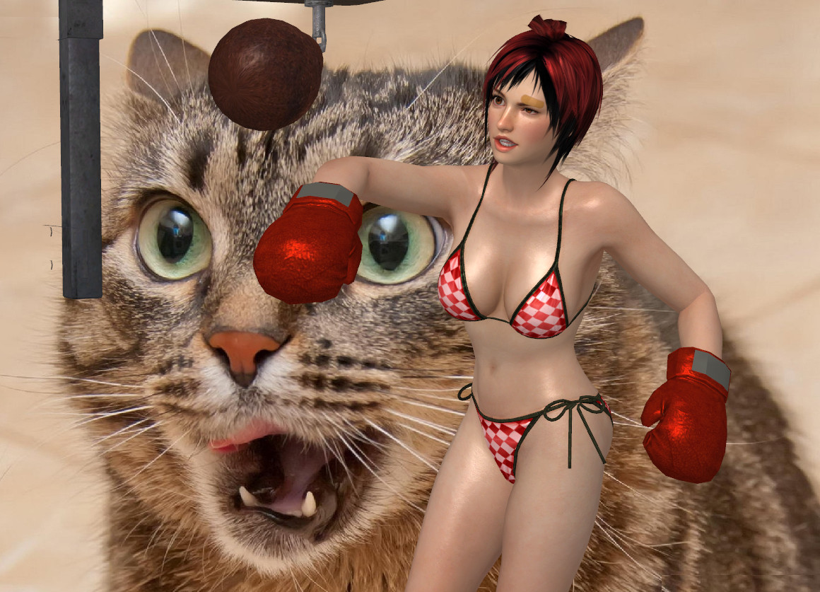 DOA5 Mila Swimsuit