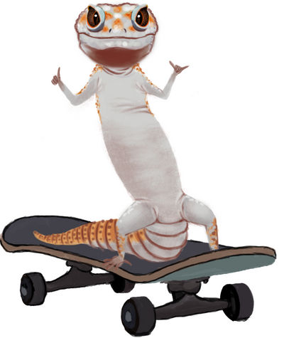 gecko on a skateboard!