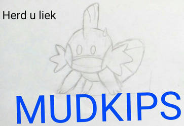 poor Mudkip