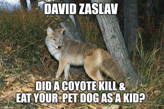 Zaslav Has Childhood Trauma?