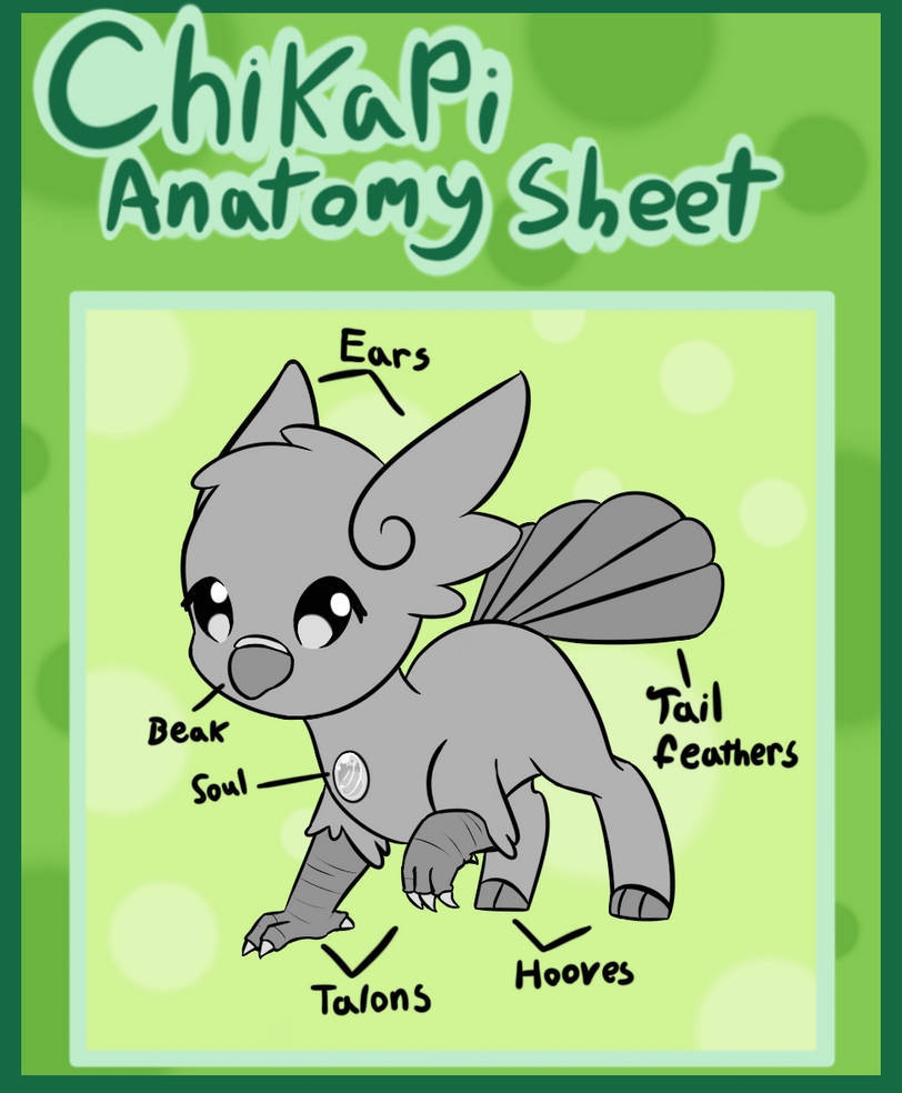Chikapi Anatomy Guide by NuddleDuddles on DeviantArt