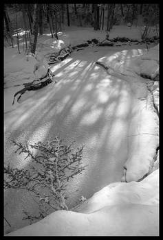 Ruisseau sous le gel