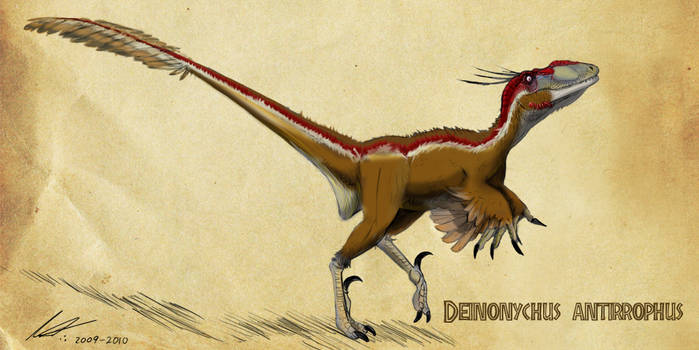 Deinonychus