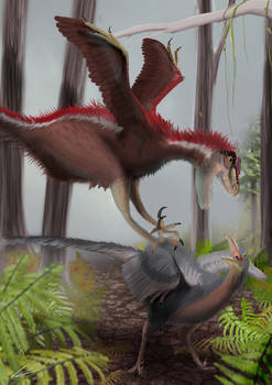 Dromaeosaurus indet.