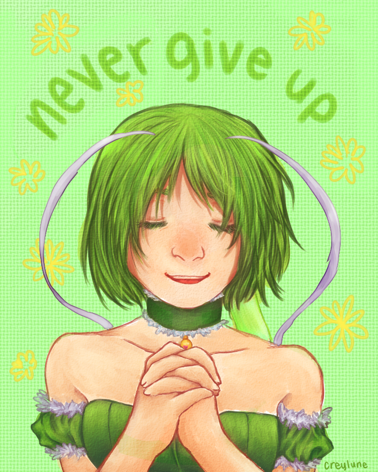 Never Give Up