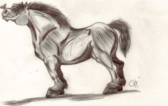 Bernard : cartoon draft horse