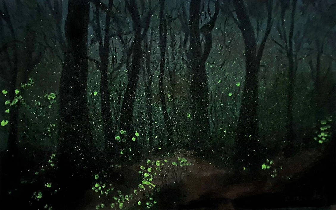 Fireflies by NikoletaPopova on DeviantArt