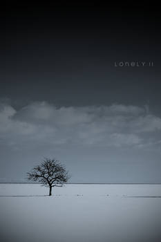 lonely II