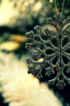 Snowflake