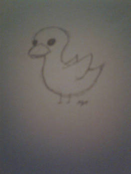 Ducky ^^