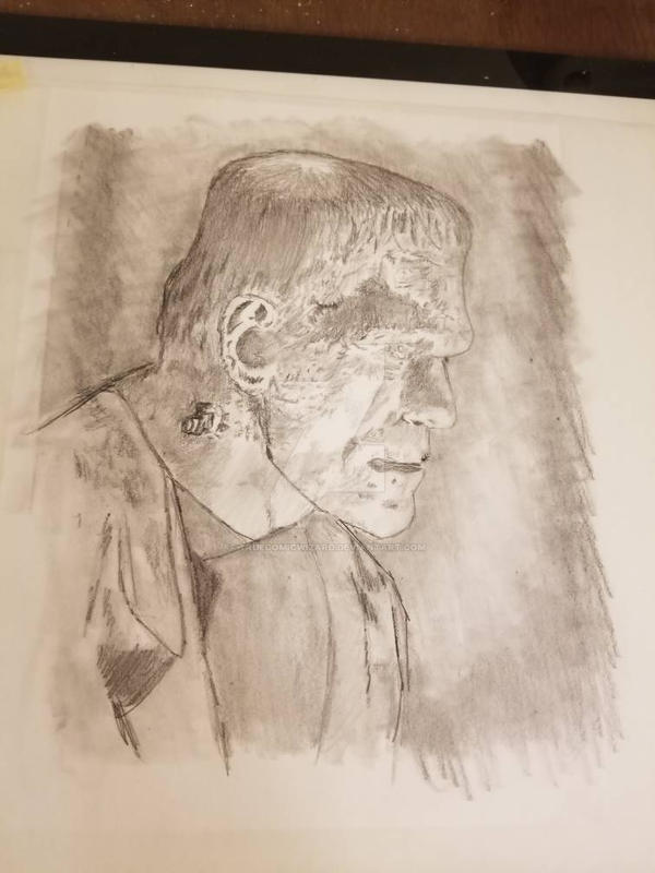 Frankenstein's Monster portrait 