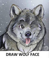Draw wolf face meme