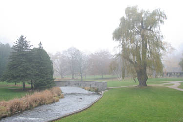 Foggy Day in the Park