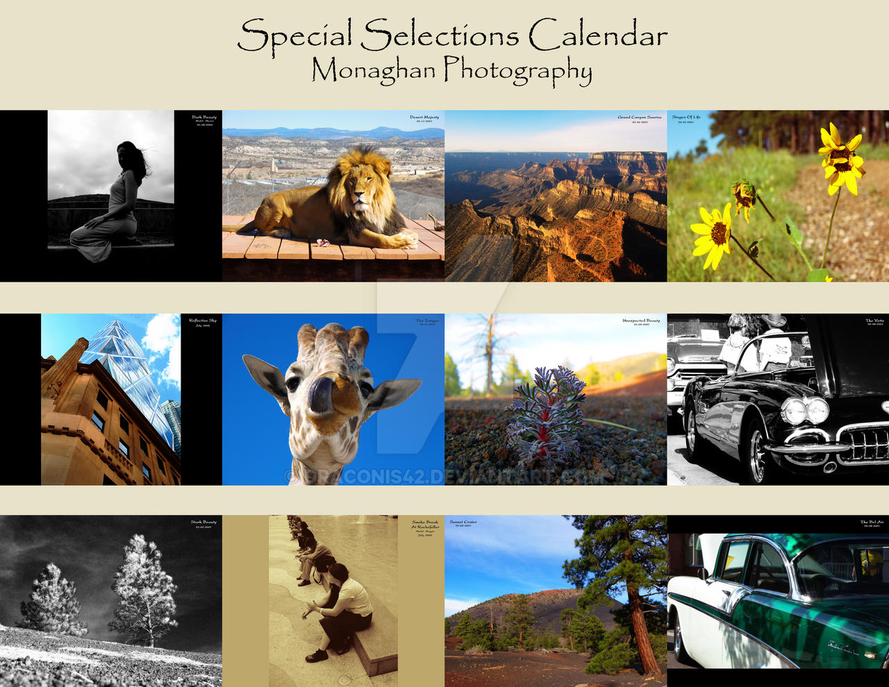 Special Selections Calendar