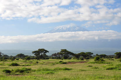 kilimanjaro