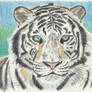 White Tiger 2