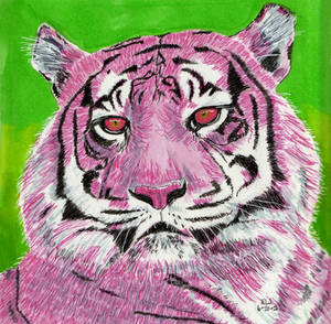 Pink Tiger