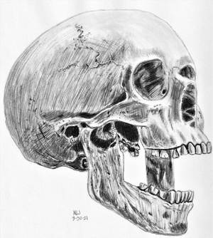 Skull 8