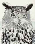 The Owl by Enlee-Jones